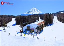 Tour Nhật Bản Cung Đường Tokyo - Núi Phú Sĩ Đón Năm Mới 2027